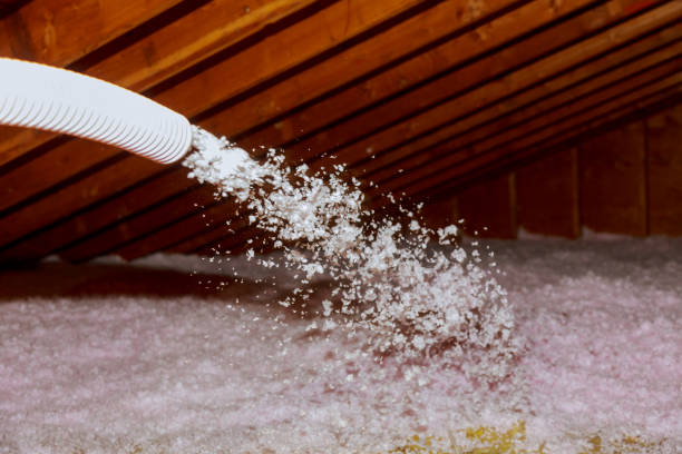 Best Best Insulation Companies  in Lincoln Park, NJ