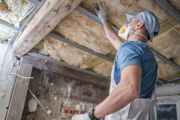 Best Home Insulation Services  in Lincoln Park, NJ