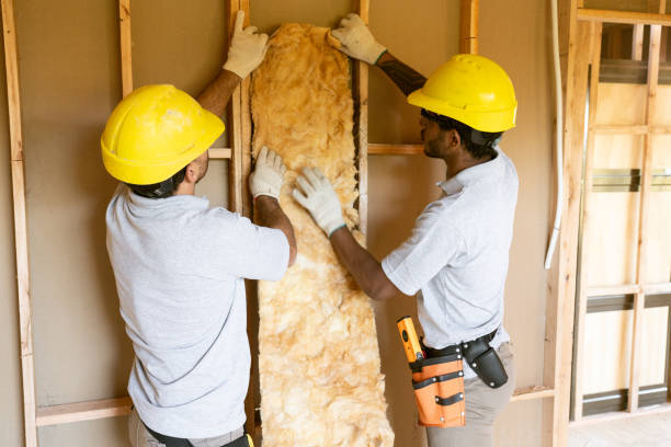 Best Affordable Insulation Services  in Lincoln Park, NJ